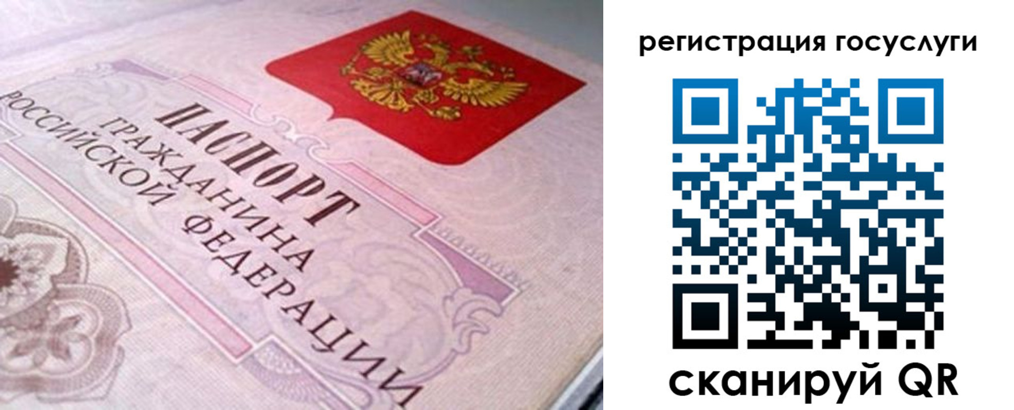 где прописаться в Данкове